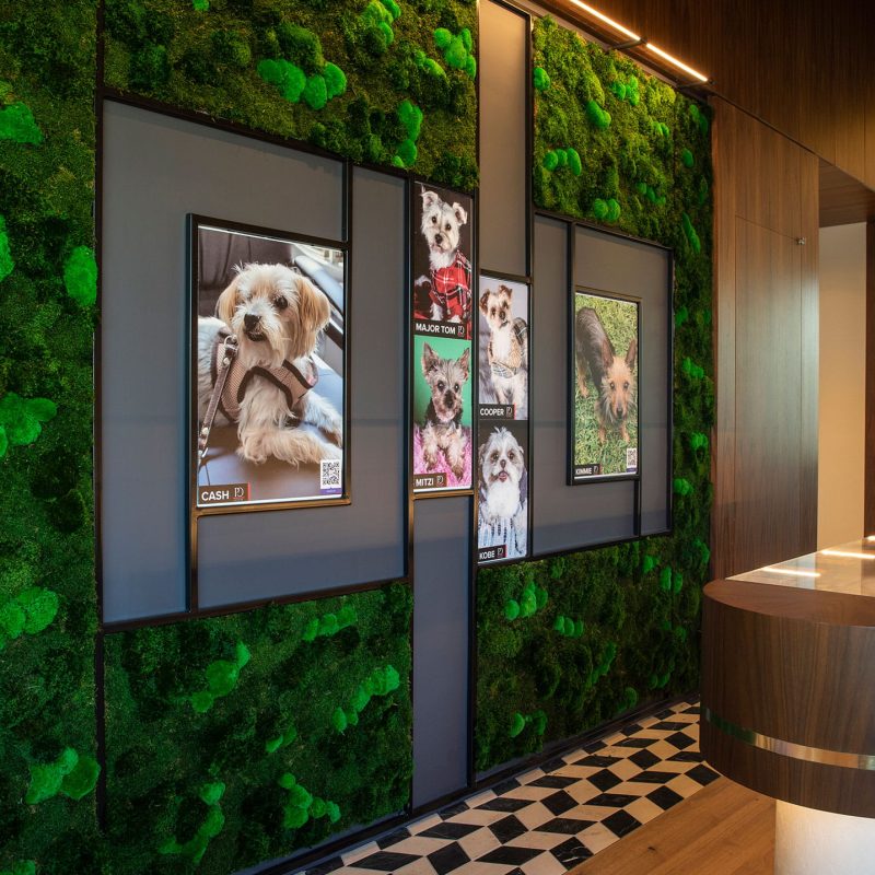 Wiedenbach Brown Lighting Procurement Agents Distributors Architecture Sales Design Specification Pucci Pet Boutique Cafe Katy Houston Texas Luxury